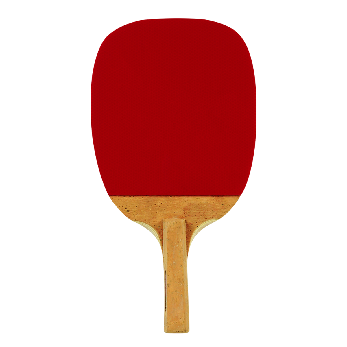 Butterfly Nakama P-1 Penhold Racket: Vertical View of the Racket